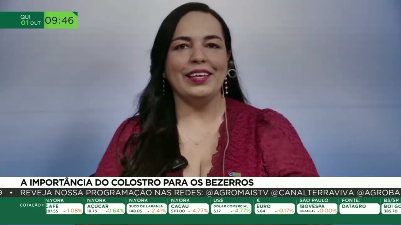 Colostro: por que o primeiro alimento é essencial para a saúde dos bezerros
