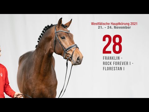 Westfälische Hauptkörung Reitpferdehengste:Kat-Nr.28  Franklin - Rock - Forever I