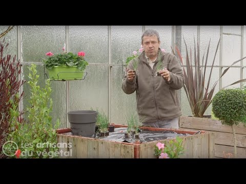, title : 'Quand et comment planter des oignons ?'