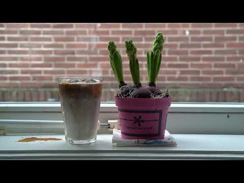 A day with Lelit MaraX and Mignon specialita