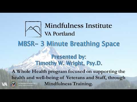MBSR Guided Practice - 3 Min Breathing Space