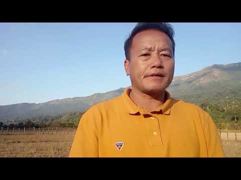 cov hauv tshuaj cawm tib neeg siab phem tso dab tom 31/12/22-23