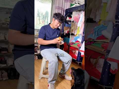 没钥匙进不了家门，幸好有狗狗帮我！ #宇美北 #funny #戏精大哈 #pets #寵物友善日常#shortfilm #dogshorts #狗狗成精了 #喜剧大师再显身手 #搞笑我是认真的