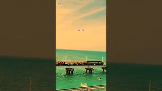 Download lagu maruvarthai pesathe song whatsapp status | @paatapodra mp3