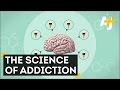 How Drug Addiction Works
