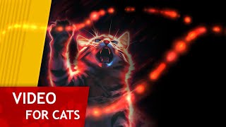 CAT GAMES  - Neon Multi Color String (Video for Cats) 1 Hour version