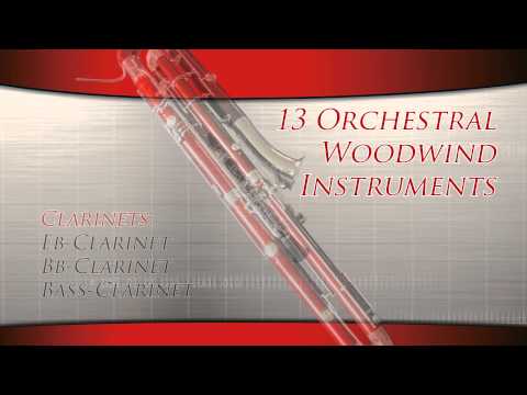 Chris Hein Winds - Teaser | Best Service