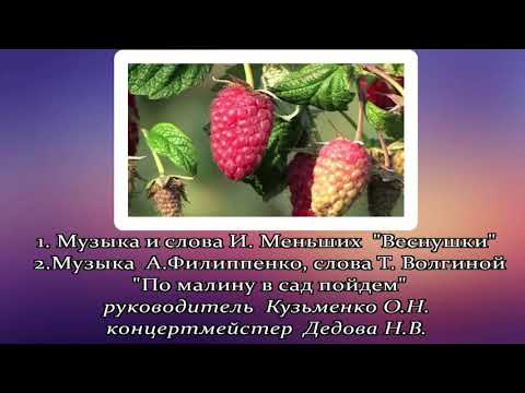 Хор "Детство" Муз. И. Меньших Сл. Э. Фарджен перевод М.Бородицкой «Снегопад» рук. Кузьменко О.Н.