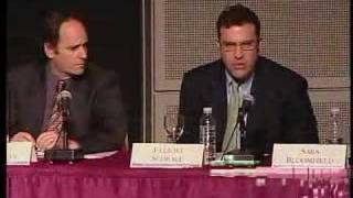 Holocaust Museum&#39;s &quot;Crisis in Darfur&quot; in Google Earth, pt 5