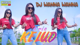 Download lagu DJ WANNAWANNA SPECIAL TRIO KELUD mp3 Download lagu DJ WANNAWANNA SPECIAL TRIO KELUD mp3