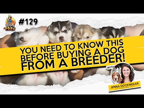 You Need To Know This Before Buying A Dog From A Breeder!