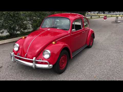 1967 Volkswagen Beetle (CC-1418827) for sale in Palmetto, Florida
