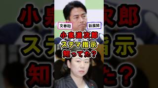 【衝撃】小泉進次郎ステマ知ってた｜牧島かれん自民党 #政治 #総裁選 #shorts