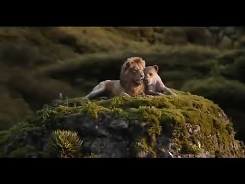 Beyoncé & Donald Glover - Can You Feel The Love Tonight/ From "The Lion King" 2019 Soundtrack