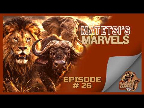 Matetsi's Marvels l Safari Classics TV Ep 26
