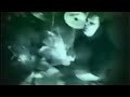 Mortification - Peace In The Galaxy (Official Music Video)