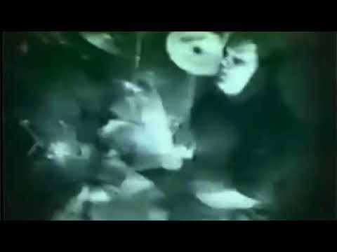 Thumbnail for Peace In the Galaxy video