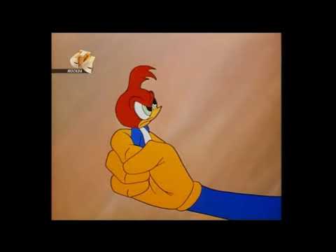 Woody Woodpecker - 040 - Born To Peck