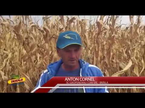 Testimonial DKC 5141- Anton Cornel