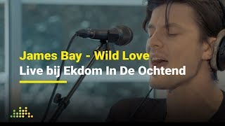 James Bay - Wild Love | Live bij Ekdom In De Ochtend