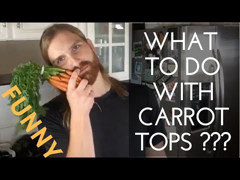 download lagu mp3 mp4 Can You Juice Carrot Tops, download lagu Can You Juice Carrot Tops gratis, unduh video klip Can You Juice Carrot Tops