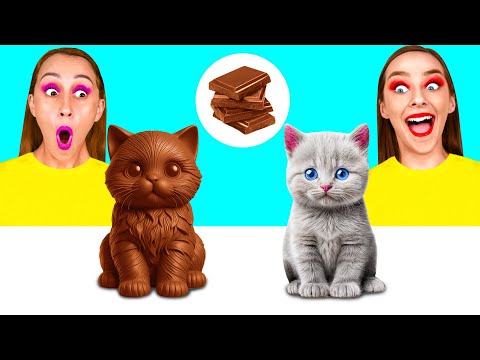 Real Food vs Chocolate Food Challenge | Funny Food Situations by 4Teen Challenge
