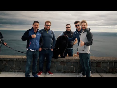 Fast As I Can - The Whistlin' Donkeys // Newfoundland (Official Music Video)