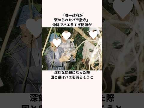 「唯一政府が褒められたバラ撒き」沖縄の農業についての雑学
