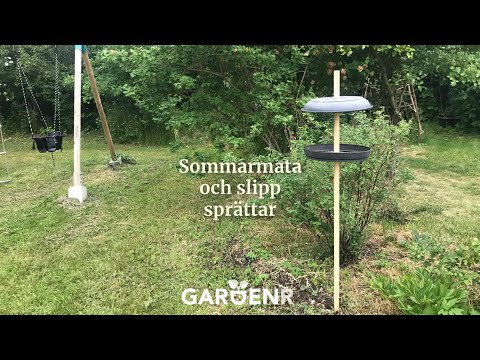 Sommarmata och slipp sprättar - Trädgårdshacks med GardenR