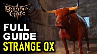 All Strange Ox Encounters: Help the Devilish Ox Full Quest Guide | Baldur