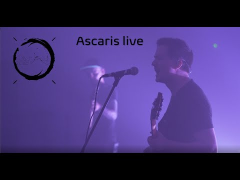 Omnerod - Ascaris (Live at the Progspace Online Festival)