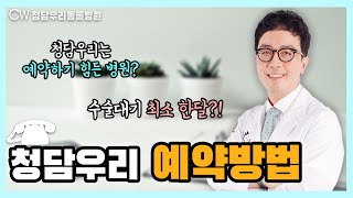 청담우리동물병원 예약방법 알려드릴께요! 슬개골탈구수술 대기 최소 한달?