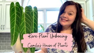 Rare Plant Unboxing  - Camila's House of Plants