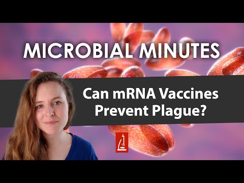 Targeting Bacterial Pathogens with mRNA Vaccines