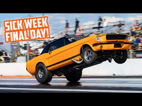 Sick Week's Final Day - So Many Feelings