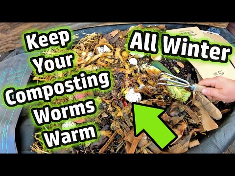 Easy Way To Keep Your Worm Bin Composting Worms Warm, Active & Alive Throughout The Winter