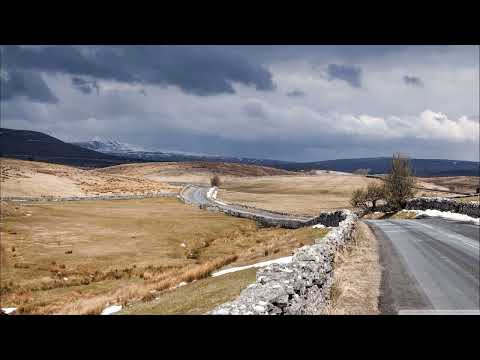 Patric Arcee - Survive Mind [Ablazing Records]