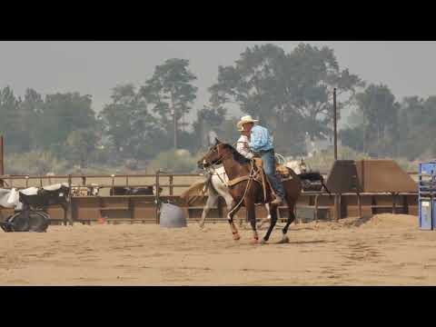 Jake Barnes: How to Walk-Score for Your Head Horse