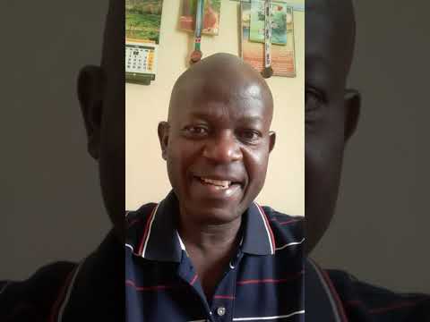 MANGUTA,HONDA,MBANZI YA KAMUNDELE,SERMENT,ILUMBE-TP OK JAZZ-ATA BASALI,MAKENGO  ENGLISH TRANSLATION