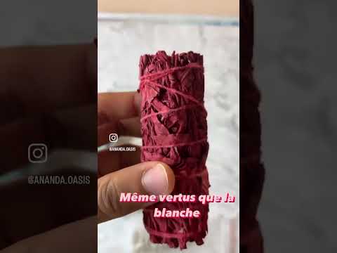 Tout savoir sur les fagots de sauge