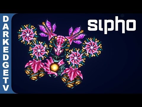 SIPHO #4 - The Prettiest Sipho