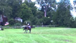 GMHA Aug. H.T. 2013 -Novice XC - Kim McIntyre & Paris Tonight (2)