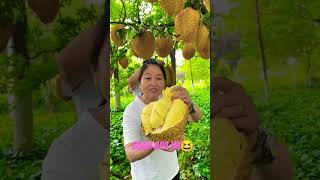 Download lagu DURIAN APA INI KOK POHONYA SEPERTI ITU/PETIK LANGSUNG DIMAKAN mp3