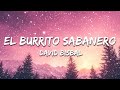David Bisbal - El Burrito Sabanero  (Letra / Lyrics)