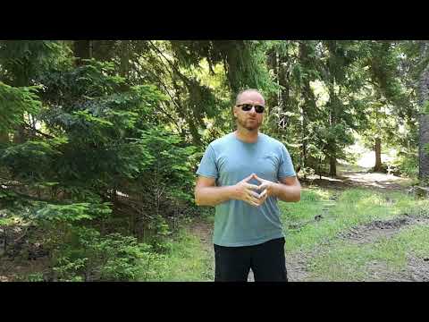 Drveće u Kur'anu? - Kratko razmišljanje | NUNvlog