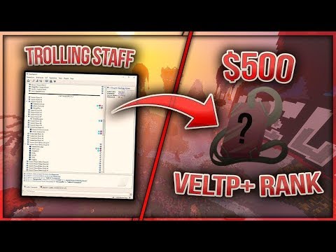 TROLLING STAFF FOR VELT+ RANK ($500) (TROLL) - Staff Revenge Series
