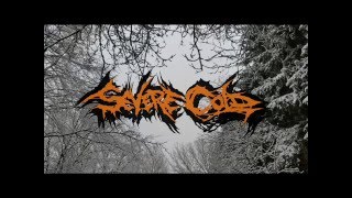Cover art for Severe Cold
