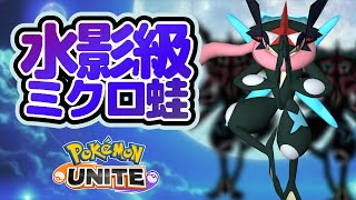 🔴MIDゲッコウガ、ソロラン配信