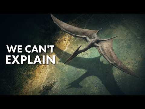 The Largest Predator That Ever Flew - Doesn't Make Sense