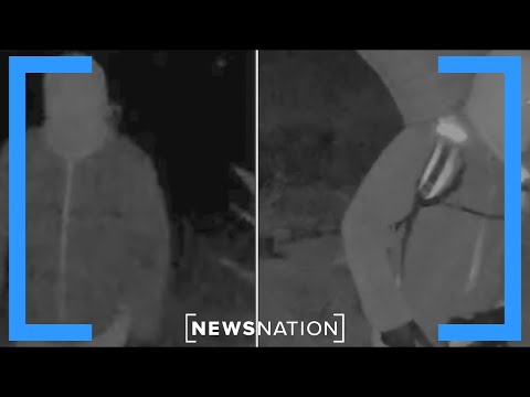 Nancy Guthrie suspect visited home before kidnapping: Sources | Elizabeth Vargas Reports